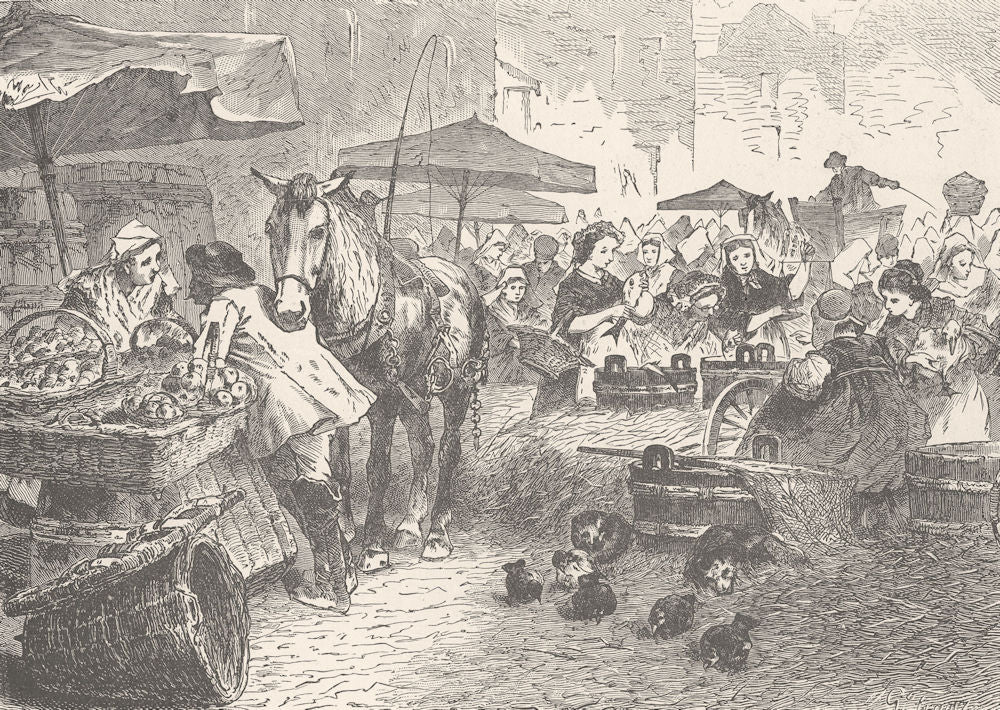 GERMANY. Fruit & fish market, Middle Rhine 1903 old antique print picture